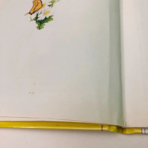 Vtg Peter Cottontails Surprise Greg Hildebrandt  Book - Picture 10 of 16